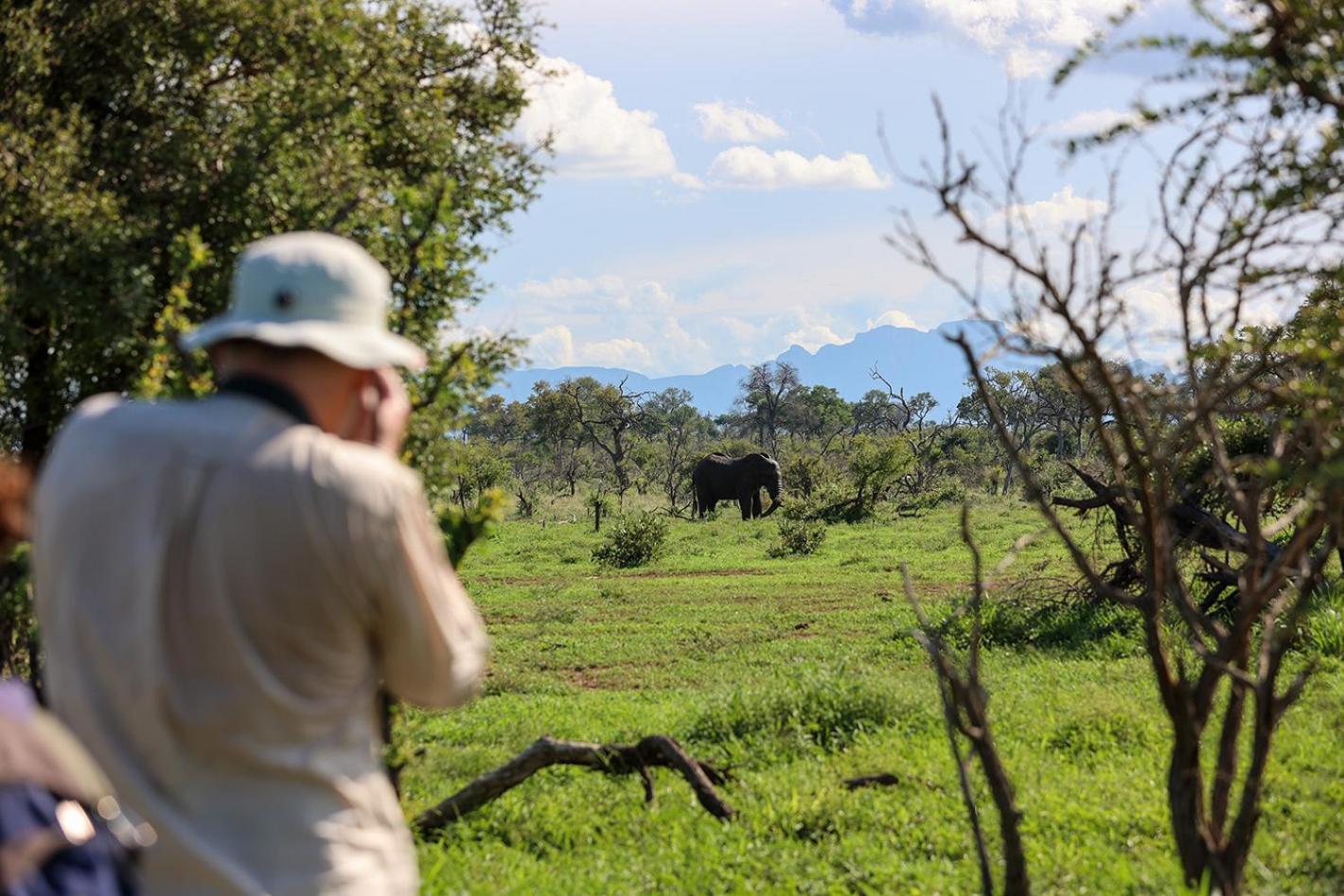 Tomo Safari Lodge Hoedspruit Buitenkant foto